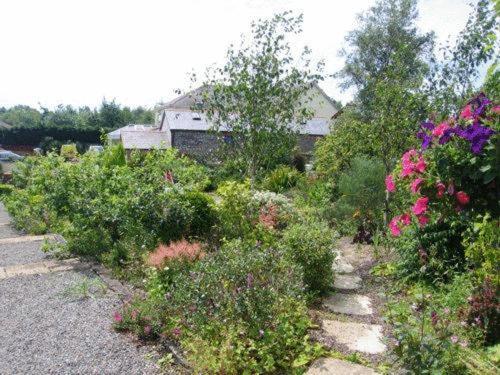 Hotel Stag Coach House Carmel Exterior foto