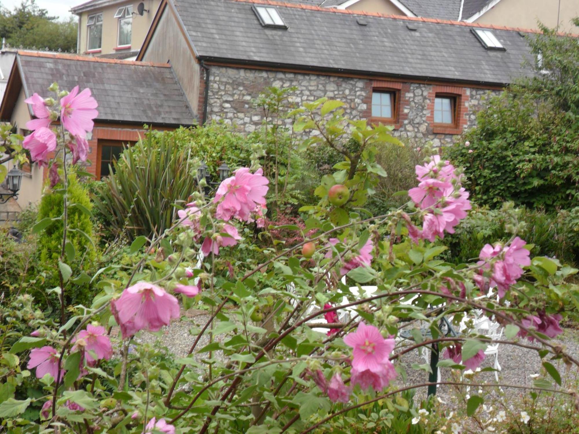 Hotel Stag Coach House Carmel Exterior foto